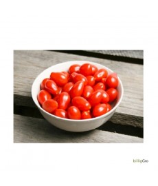meget lille blomme "Ulla`s tomat