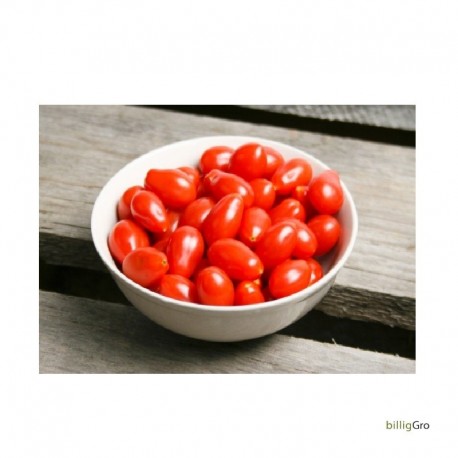 meget lille blomme "Ulla`s tomat