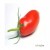 "San Marzano 2" (almindelig, aflang tomat) XXX