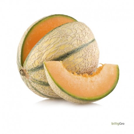 FRENCH MELON