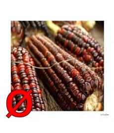 Lys lila majs Heirloom Corn"