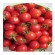 jasmin tomat ” stor rød cocktail tomat 