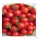 "Riesentraube" (Cherry tomat)