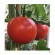 "Thessalloniki" (lille tomat)