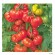 "Belriccio" Økologisk tomat frø