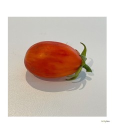"jans' cherry tomat. 10 stk. tomat frø.