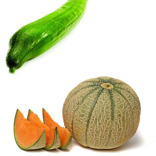 Agurke  / Melon
